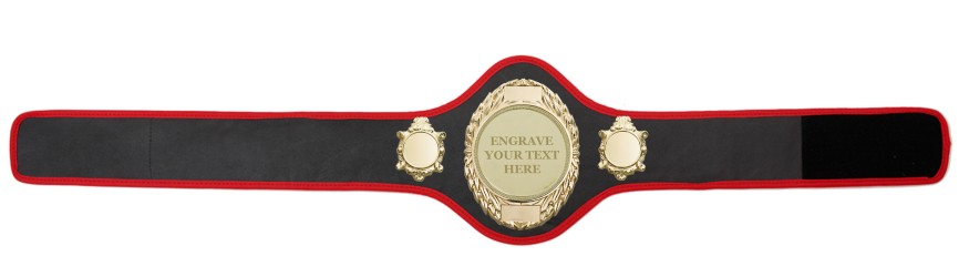 CHAMPIONSHIP BELT PRO286/G/ENGRAVE/G - AVAILABLE IN 10+ COLOURS